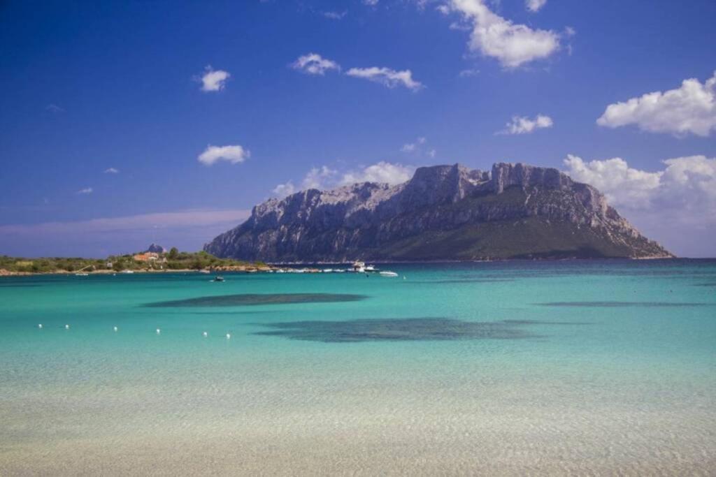 Porto Istana Villa And Pool Tavolara View المظهر الخارجي الصورة